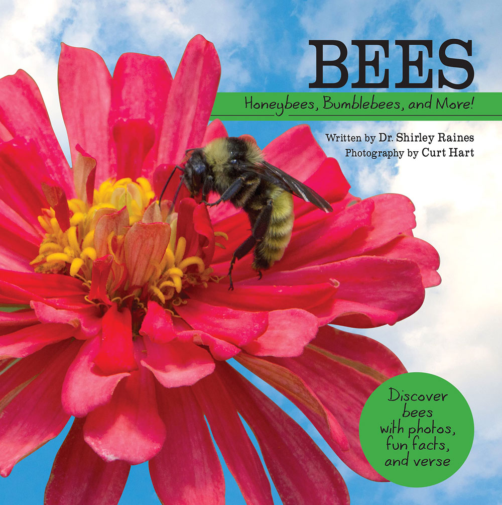 Bees: Honeybees, Bumblebees, and More! (My Wonderful World)