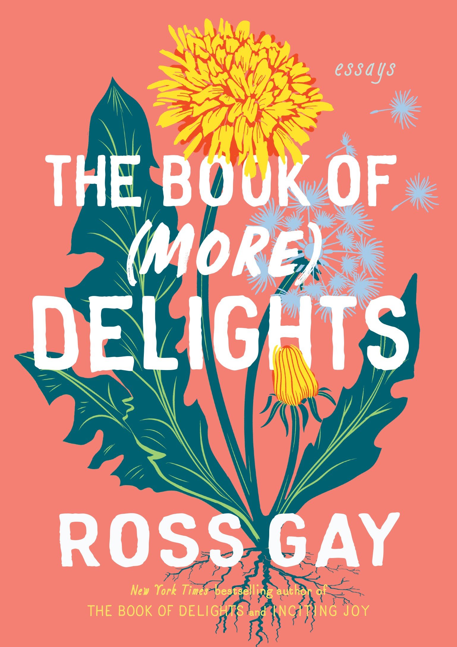 The Book of (More) Delights: Essays